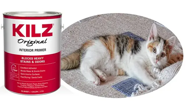 can kilz be used in a paint sprayer