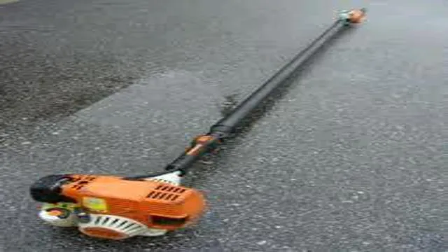 can you rent a pole saw 1 can you rent a pole saw