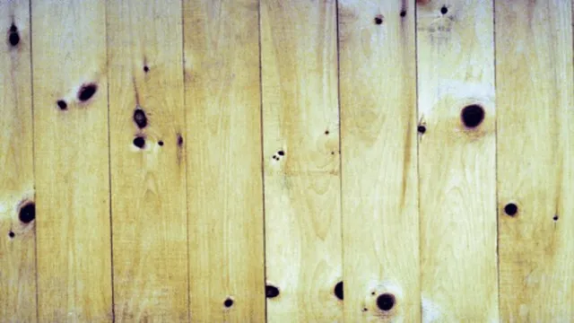 can you stain yellow pine 1 can you stain yellow pine