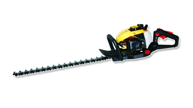 can you use a pole saw as a hedge trimmer 1 can you use a pole saw as a hedge trimmer
