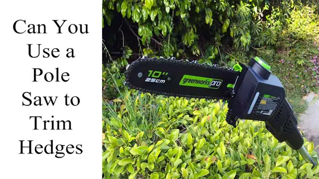 can you use a pole saw to trim hedges 1 can you use a pole saw to trim hedges