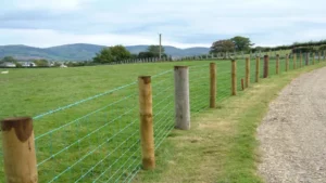 Can You Use Landscaping Timbers for Fence Posts? Pros, Cons, and Solutions.