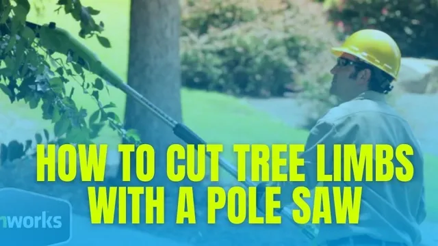 how to cut limbs with a pole saw 1 how to cut limbs with a pole saw