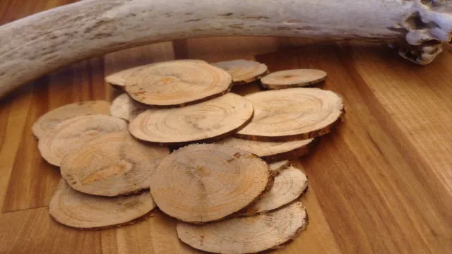how to preserve wood slices with bark 1 how to preserve wood slices with bark