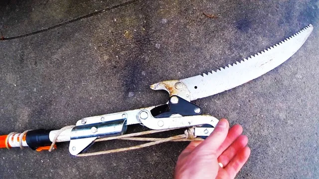 how to prune a tree with a pole saw 1 how to prune a tree with a pole saw