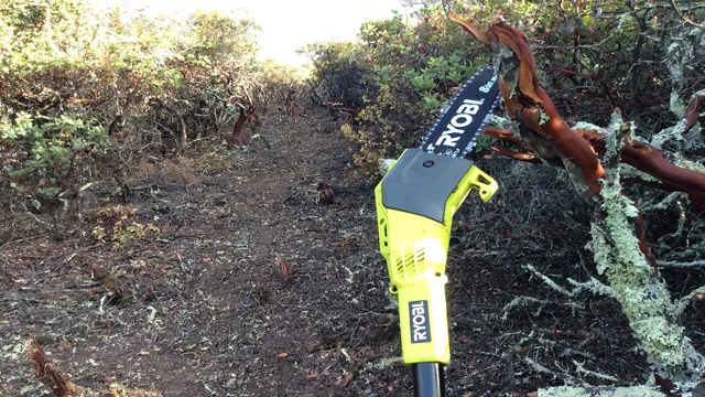 how to replace chain on ryobi pole saw 1 how to replace chain on ryobi pole saw