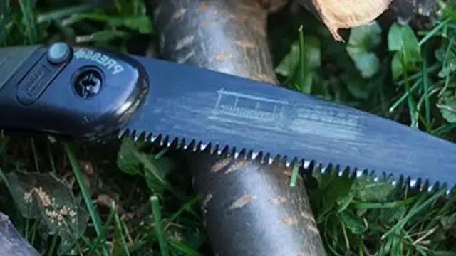 how to sharpen a pole saw 1 how to sharpen a pole saw