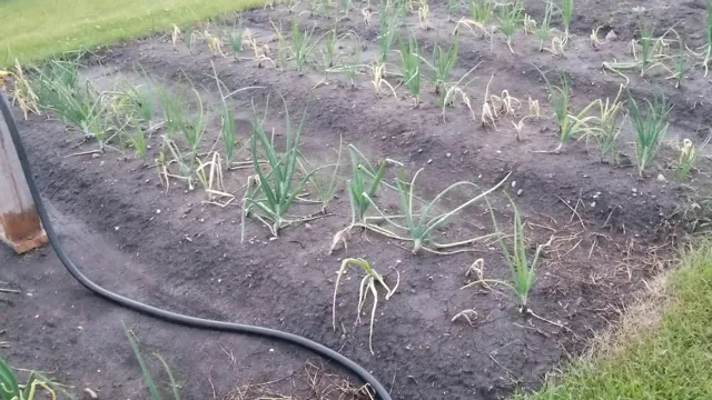 how to test sprinkler system for leaks 1 how to test sprinkler system for leaks