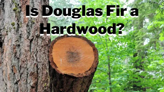 how to treat douglas fir for outdoor use 1 how to treat douglas fir for outdoor use