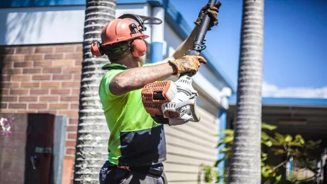 how to trim a palm tree with a pole saw 1 how to trim a palm tree with a pole saw