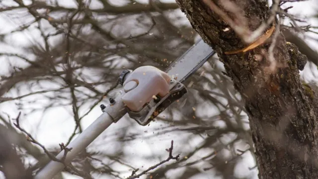 how to trim a tree with a pole saw 1 how to trim a tree with a pole saw