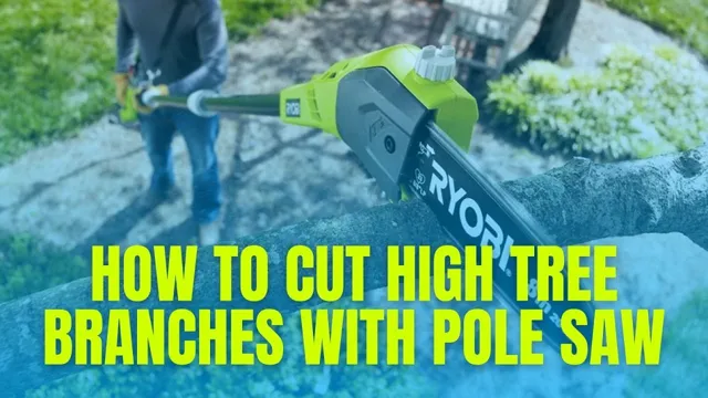 how to trim tree with pole saw 1 how to trim tree with pole saw