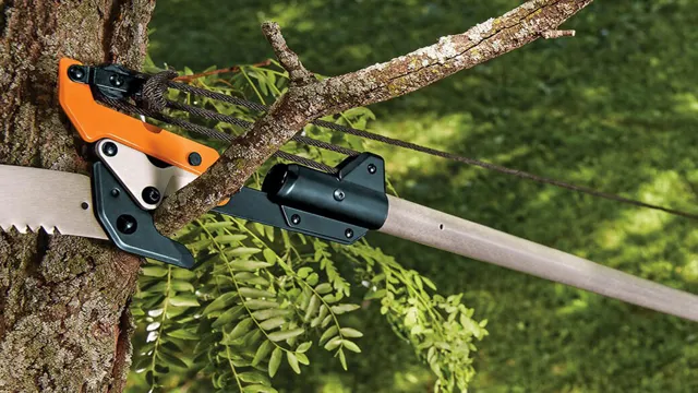 how to use a manual pole saw with rope 1 how to use a manual pole saw with rope