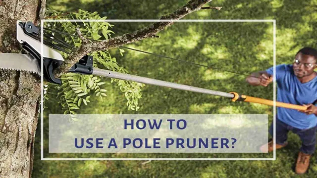 how to use a pole saw and pruner 1 how to use a pole saw and pruner