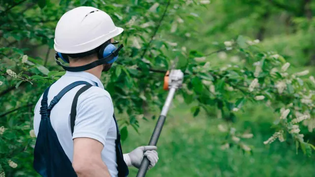how to use a pole saw safely 1 how to use a pole saw safely