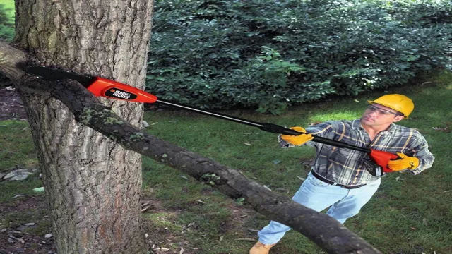 is a pole saw worth it