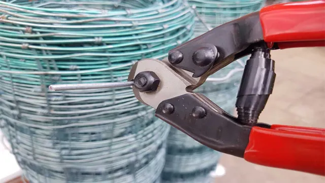 is it illegal to carry wire cutters in texas