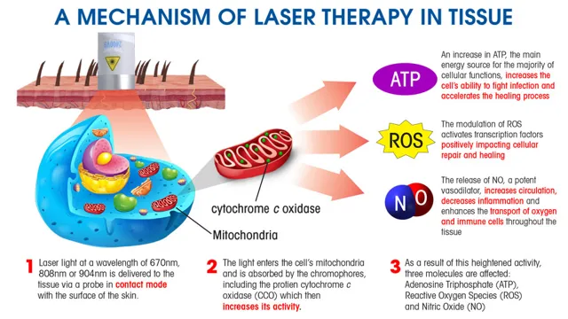 what does a laser level do