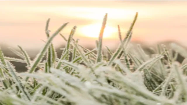 what is a hard freeze for sprinkler system 1 what is a hard freeze for sprinkler system