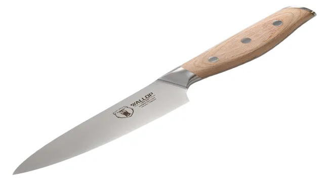 what is a utility knife used for in cooking 1 what is a utility knife used for in cooking