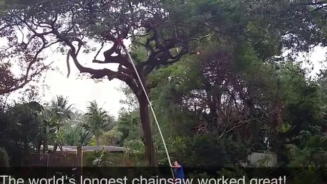 what is the longest pole saw 1 what is the longest pole saw