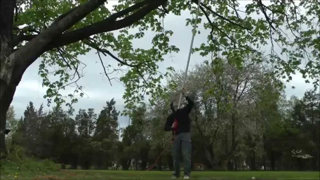 what is the longest pole saw available 1 what is the longest pole saw available