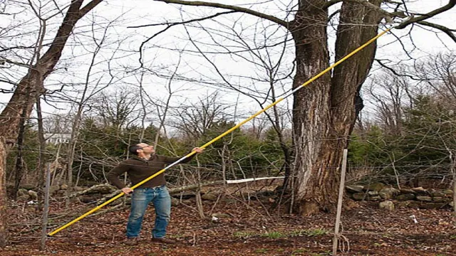 what is the longest pole saw
