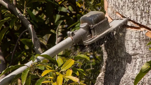 what is the rope for on a pole saw 1 what is the rope for on a pole saw