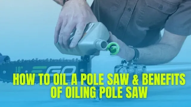 what type of oil for pole saw 1 what type of oil for pole saw