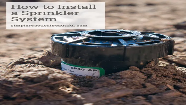 when to turn on the sprinkler system