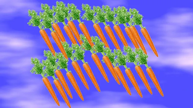 where are the wire cutters in 24 carrot island