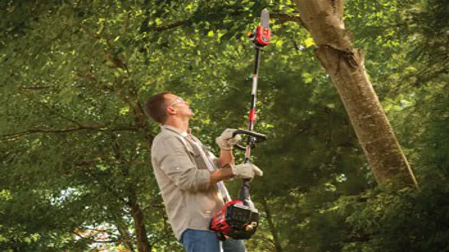 who makes the best gas powered pole saw 1 who makes the best gas powered pole saw