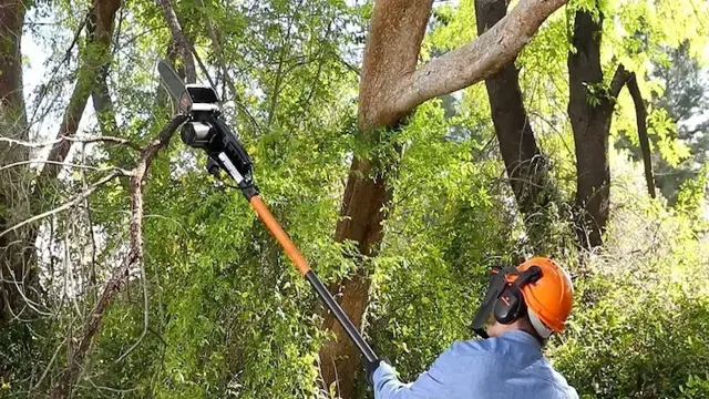 who makes the best pole saw 1 who makes the best pole saw