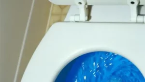 Why Does My Toilet Sound Like a Jackhammer and How to Fix It?