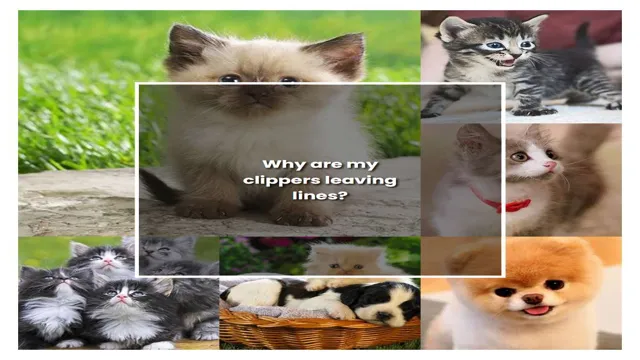 why is my planer leaving lines 2