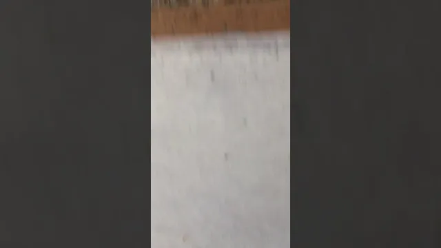 will a heat gun kill bed bugs